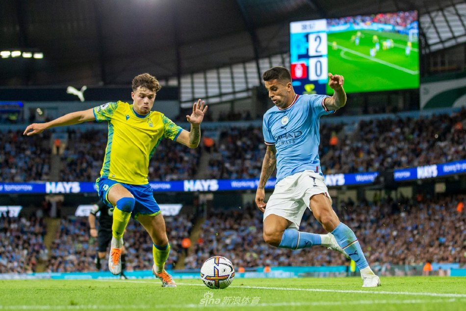 也为更多青 也为更多青